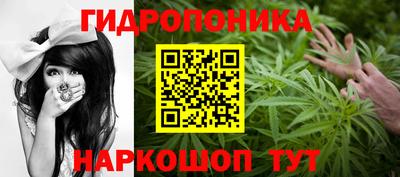 крисы Рузаевка
